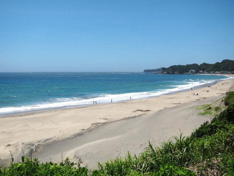 IMG_3488.jpg - 勝浦
