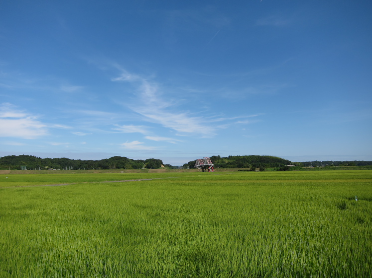 IMG_3586.jpg - 成田、根木名川付近