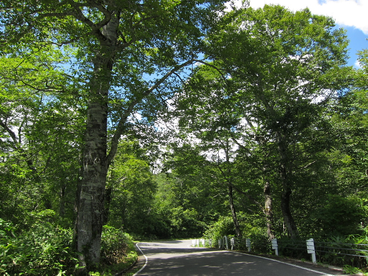 IMG_3751.jpg - 坤六峠へ向かう