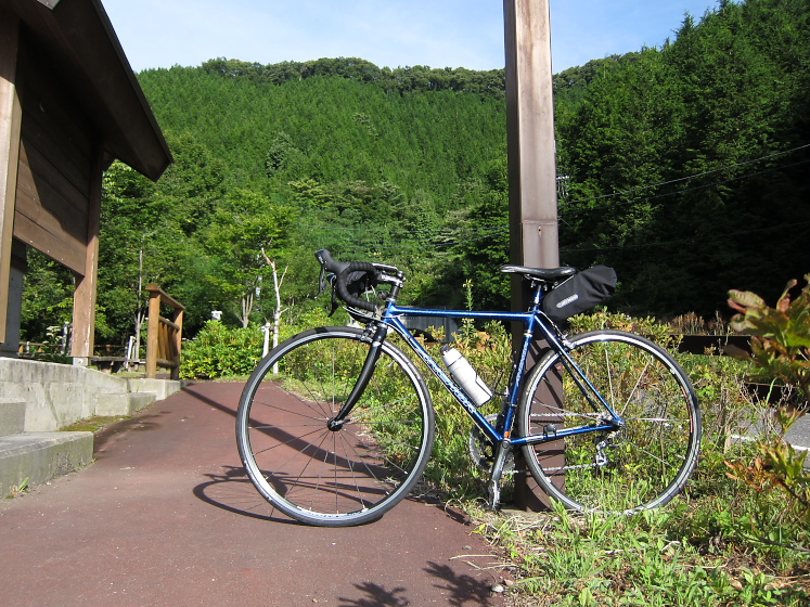 IMG_3795.jpg - 背嶺峠