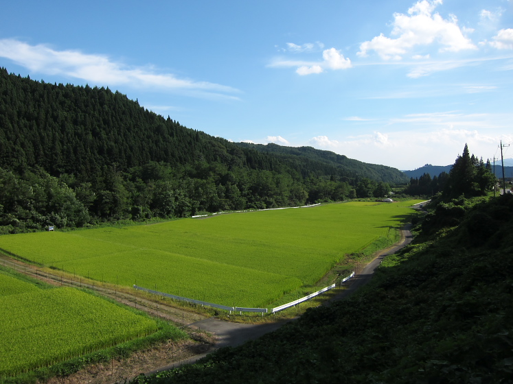 IMG_3817.jpg - 川場村