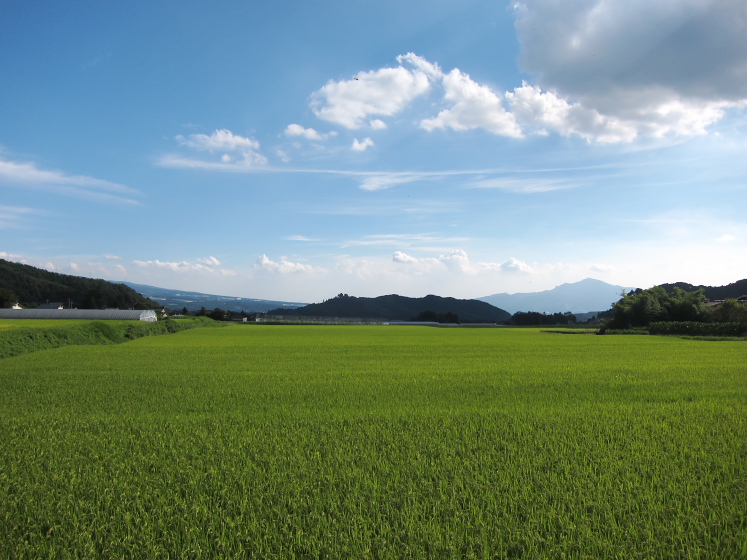 IMG_3820.jpg - 川場村