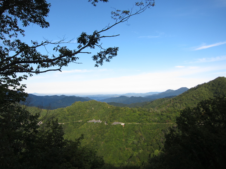 IMG_3997.jpg