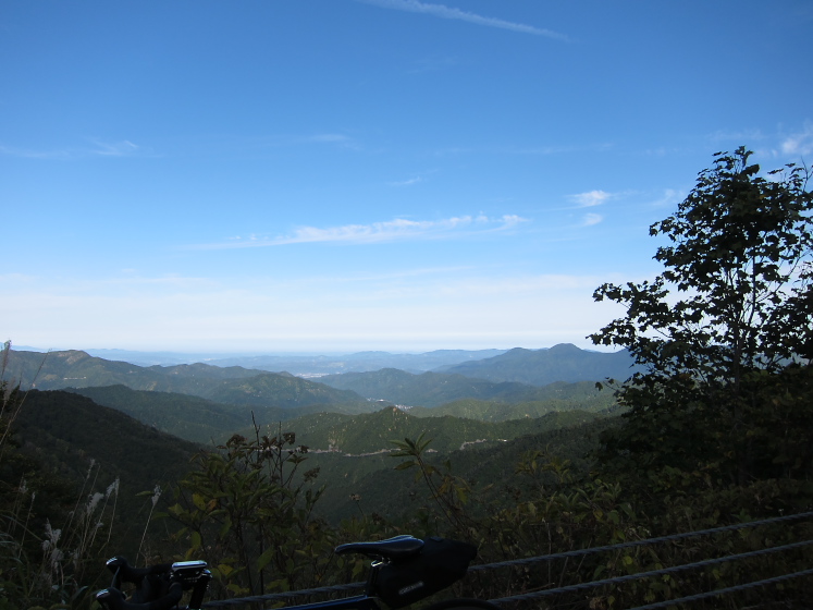 IMG_4006.jpg