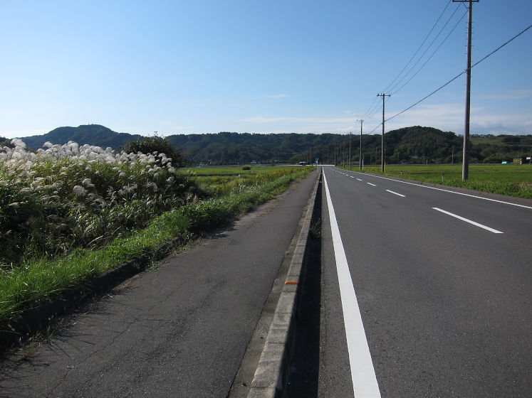IMG_4145.jpg - 志駒川　もみじロード