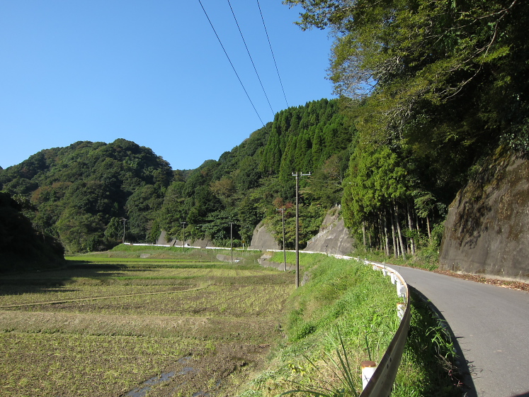 IMG_4181.jpg - 清澄養老ライン
