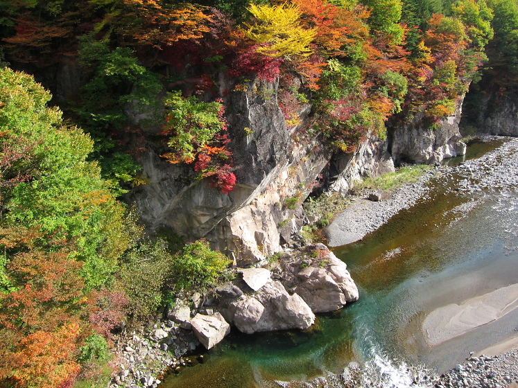 IMG_4242.jpg - 栗山