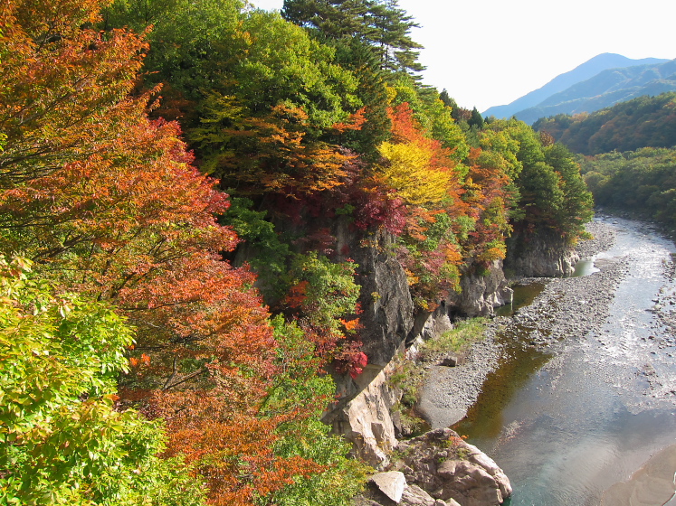 IMG_4245.jpg - 栗山