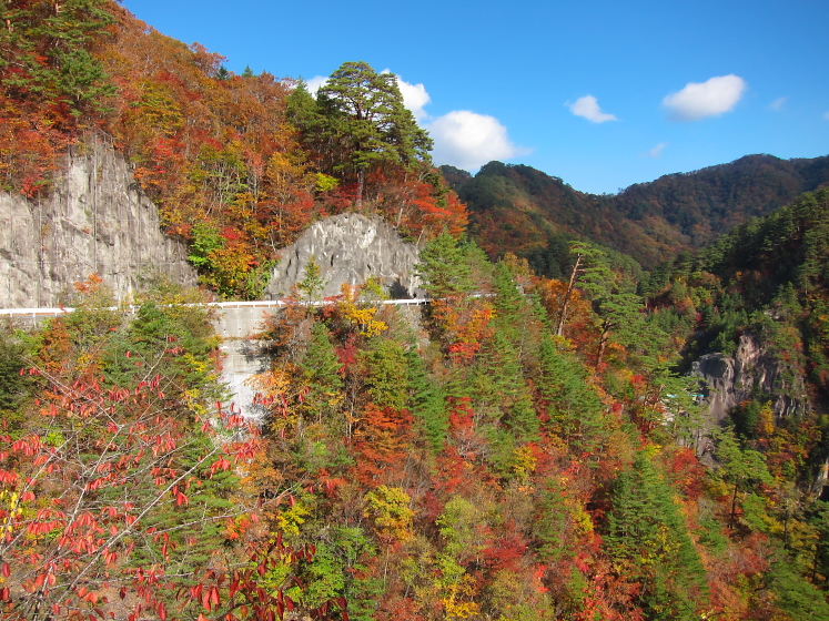 IMG_4265.jpg - 瀬戸合峡付近