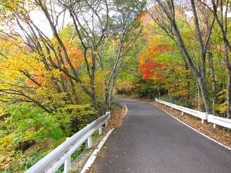 IMG_4293.jpg - 山王林道