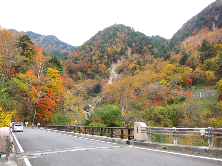 IMG_4298.jpg - 山王林道
