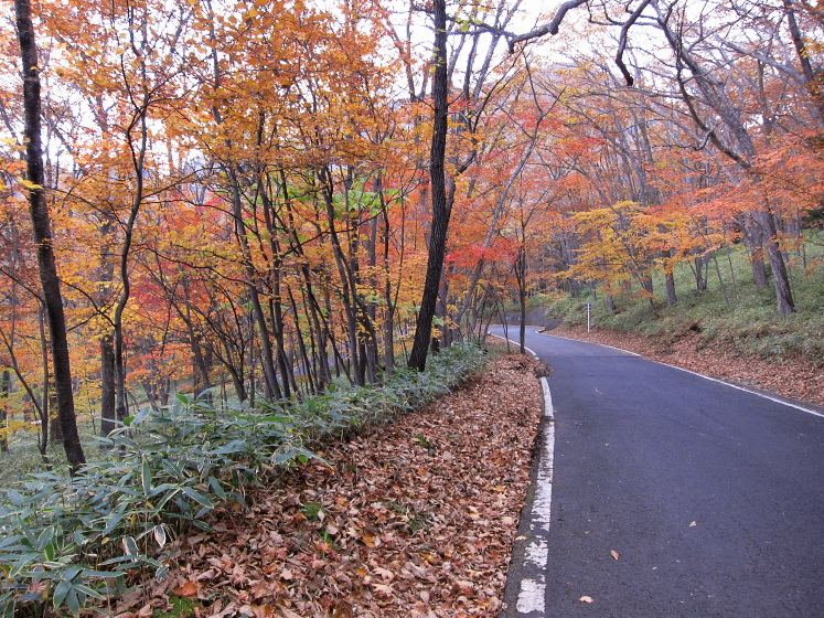 IMG_4305.jpg - 光徳牧場付近