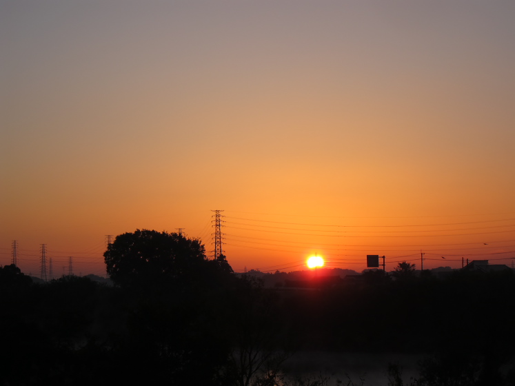 IMG_4398.jpg - 小貝川