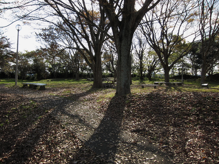 IMG_4485.jpg - 印旛沼公園