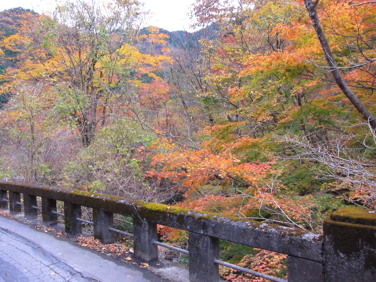 IMG_4495.jpg - 粟野