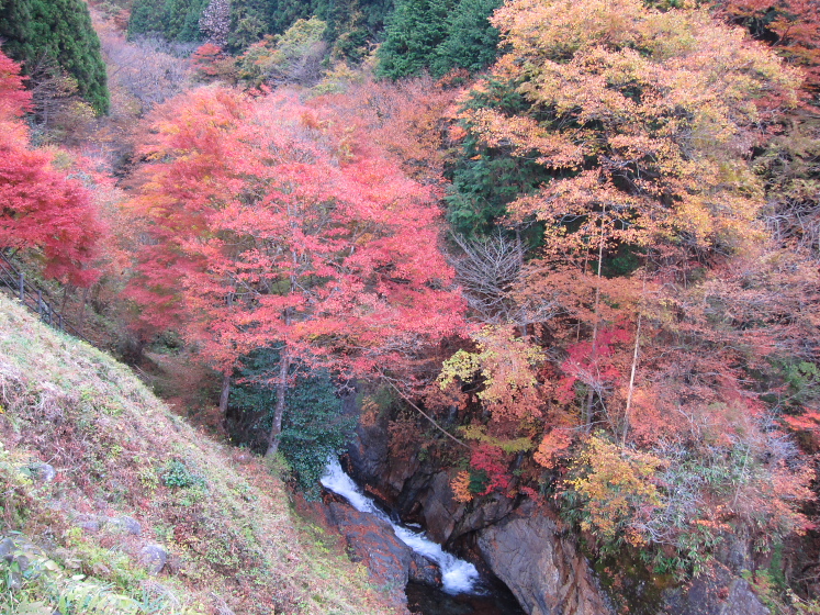 IMG_4497.jpg - 粟野