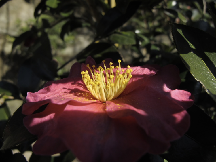 IMG_2414.jpg