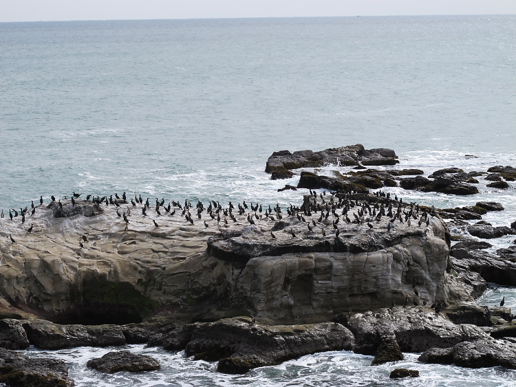 IMG_2552.jpg - 釣師海岸