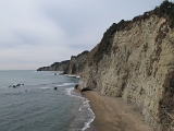 IMG_2554