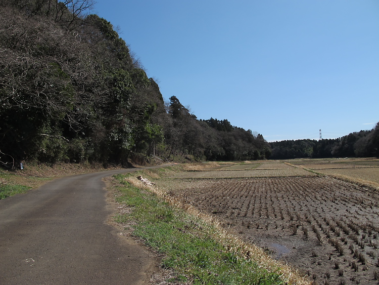 IMG_2641.jpg - 香取市　栗源　沢