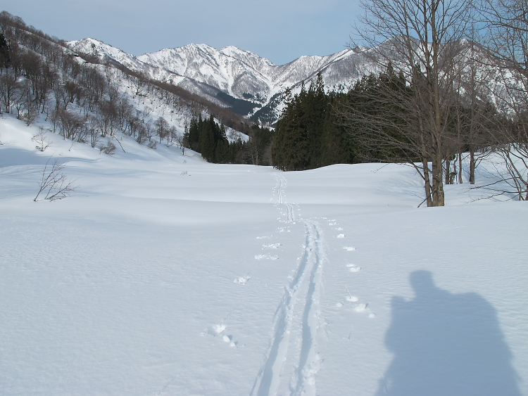 IMG_2736.jpg
