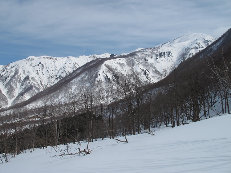 IMG_2754.jpg