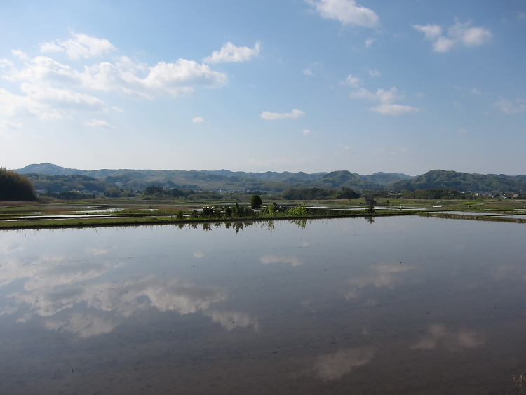 IMG_5046.jpg - 鹿野山を下りて、更和付近