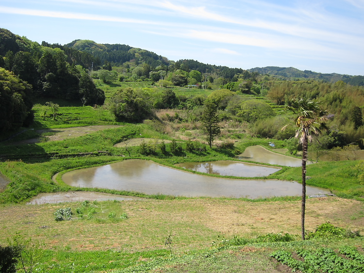 IMG_5256.jpg - 大山千枚田付近