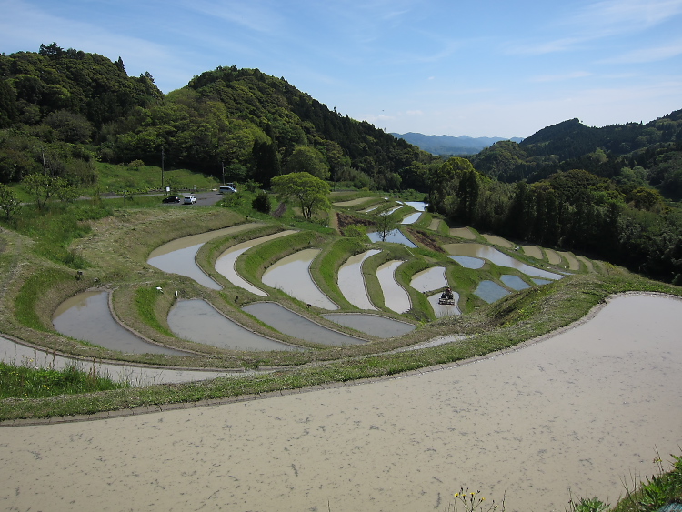 IMG_5261.jpg - 大山千枚田