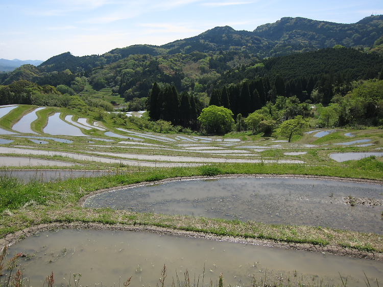 IMG_5263.jpg - 大山千枚田