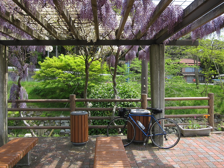 IMG_5281.jpg - 酪農のさと