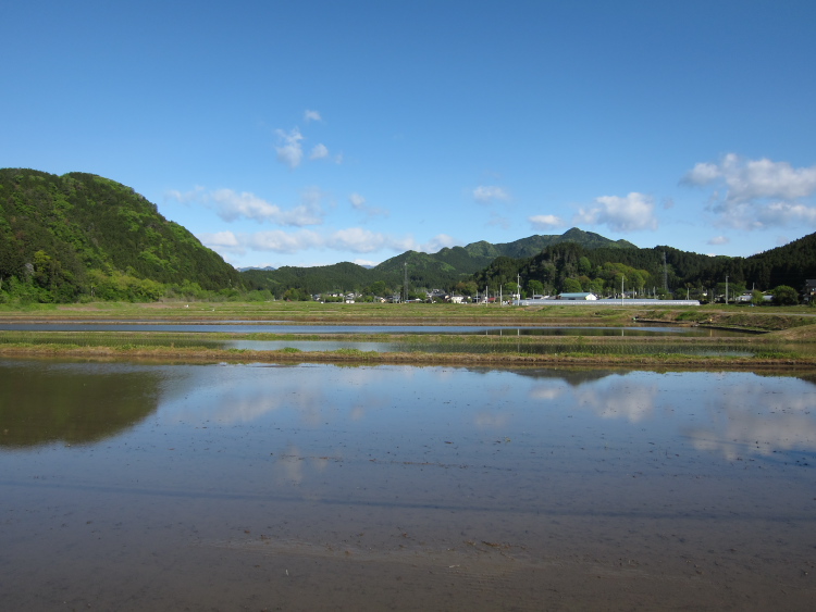 IMG_5350.jpg - 鹿沼市