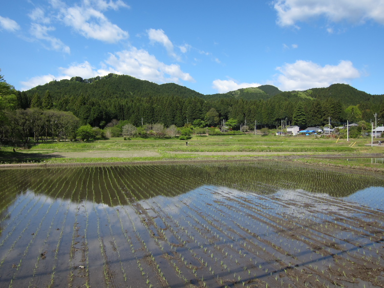IMG_5354.jpg - 長畑付近