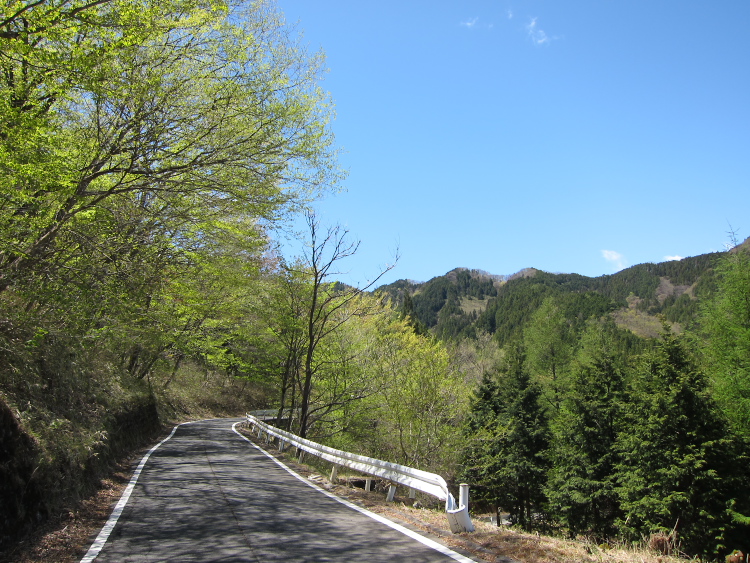 IMG_5394.jpg - 和の代から滝が原峠へ向かう