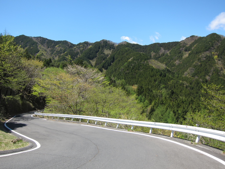 IMG_5397.jpg - 和の代から滝が原峠へ向かう