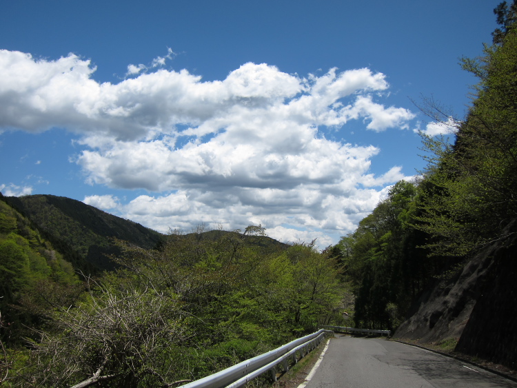 IMG_5401.jpg - 三の宿林道が通行止めの為、小来川へ