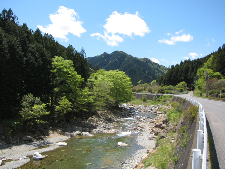 IMG_5417.jpg - 大芦川