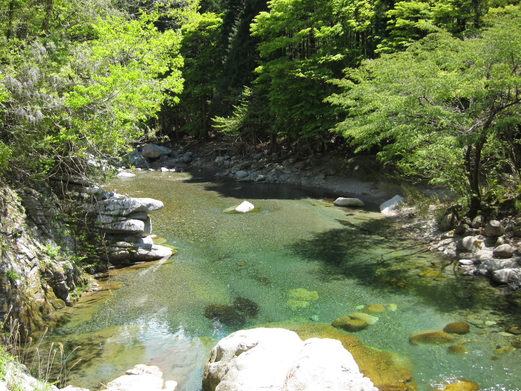 IMG_5421.jpg - 大芦川