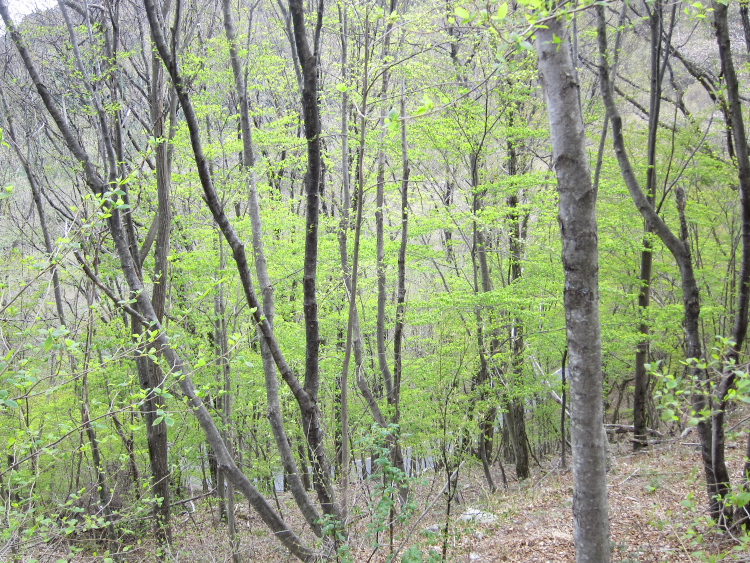 IMG_5479.jpg