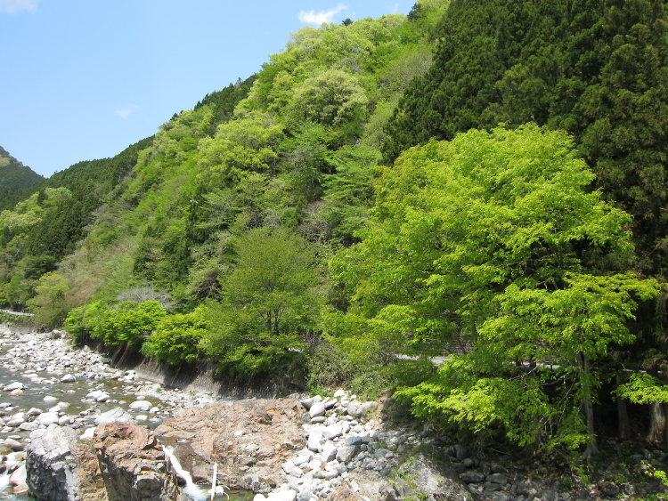 IMG_5481.jpg