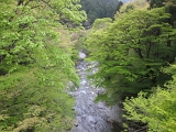 IMG_5348
