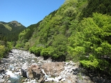IMG_5427