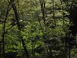 IMG_5444