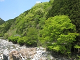 IMG_5481