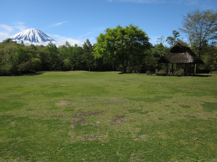 IMG_5509.jpg - 西湖から精進湖へ