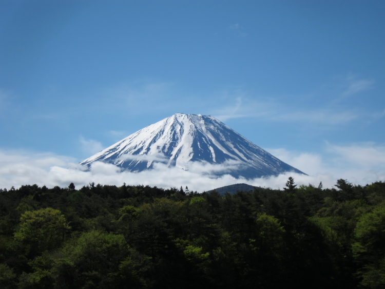 IMG_5516.jpg - 精進湖にて