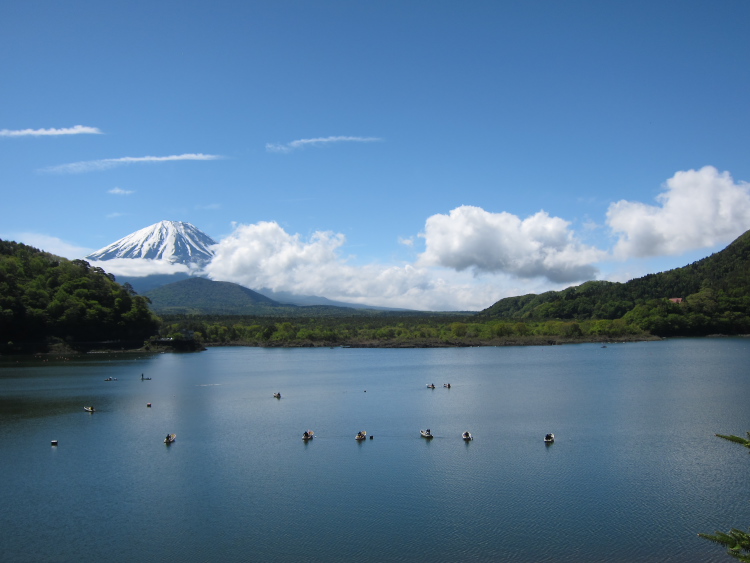 IMG_5528.jpg - 精進湖にて