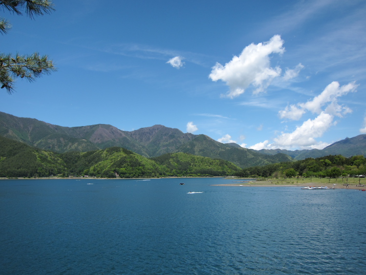 IMG_5570.jpg - 河口湖
