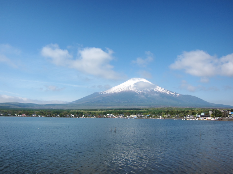 IMG_5603.jpg - 山中湖