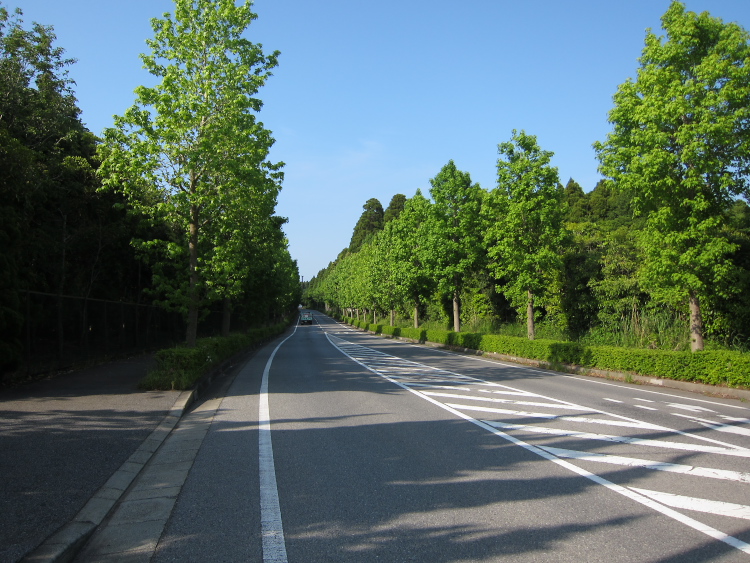 IMG_5633.jpg - 大網付近